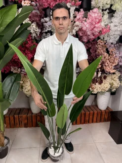 درختچه مصنوعی پرنده بهشتی ۱۳ برگ (ارتفاع ۱.۵ متر)