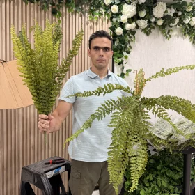 بوته سرخس مصنوعی لمسی ژله‌ای